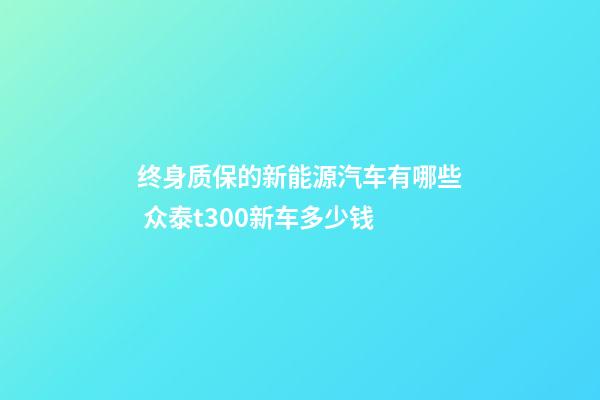 终身质保的新能源汽车有哪些 众泰t300新车多少钱